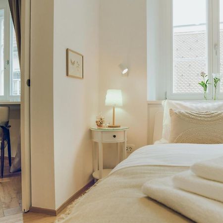 Stylish Apartment In Historical Center Λιουμπλιάνα Εξωτερικό φωτογραφία