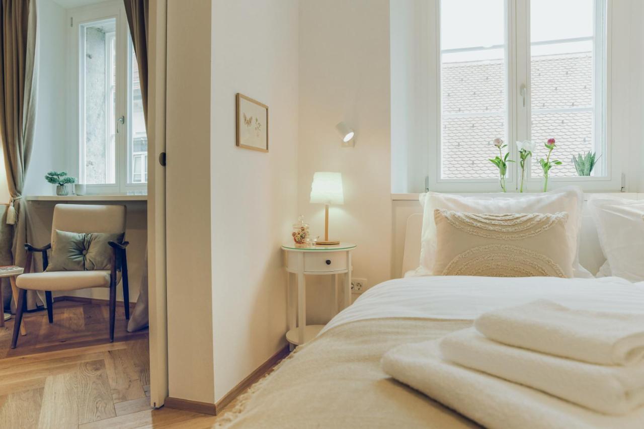 Stylish Apartment In Historical Center Λιουμπλιάνα Εξωτερικό φωτογραφία