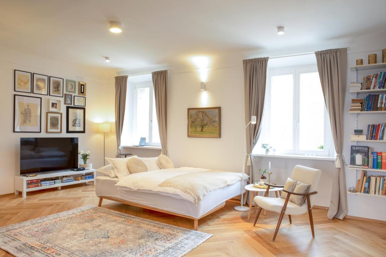 Stylish Apartment In Historical Center Λιουμπλιάνα Εξωτερικό φωτογραφία